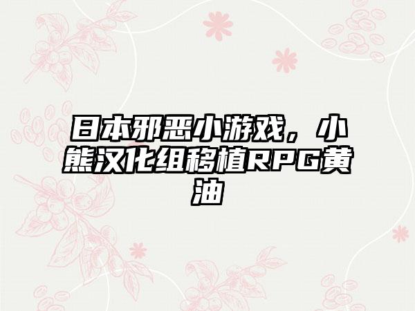 日本邪恶小游戏，小熊汉化组移植RPG黄油