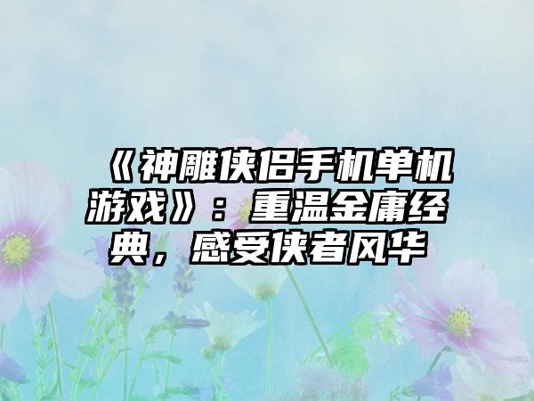 《神雕侠侣手机单机游戏》：重温金庸经典，感受侠者风华