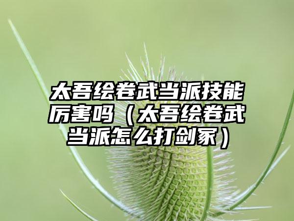太吾绘卷武当派技能厉害吗（太吾绘卷武当派怎么打剑冢）