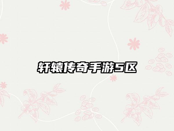 轩辕传奇手游5区