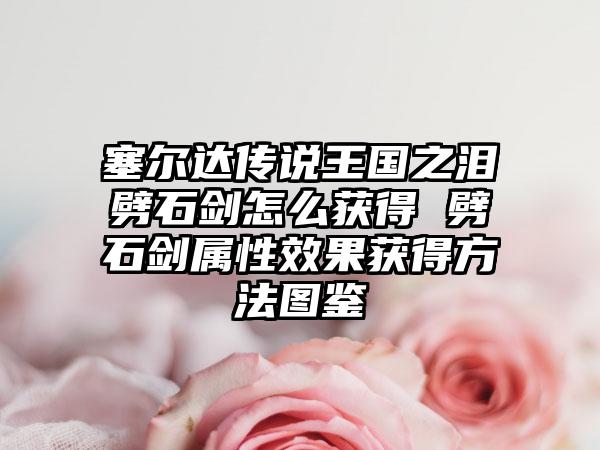 塞尔达传说王国之泪劈石剑怎么获得 劈石剑属性效果获得方法图鉴