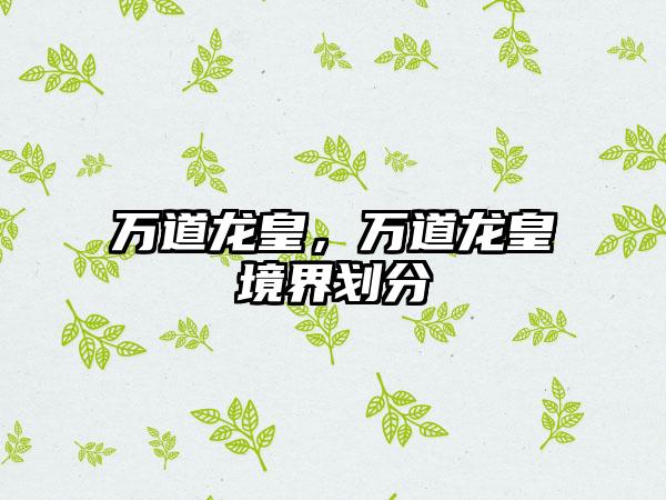 万道龙皇，万道龙皇境界划分