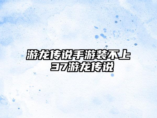 游龙传说手游装不上 37游龙传说