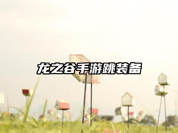 龙之谷手游跳装备