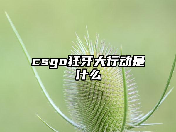 csgo狂牙大行动是什么