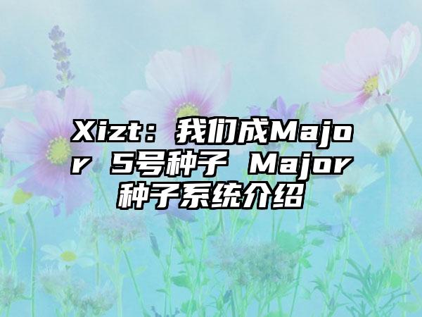 Xizt：我们成Major 5号种子 Major种子系统介绍