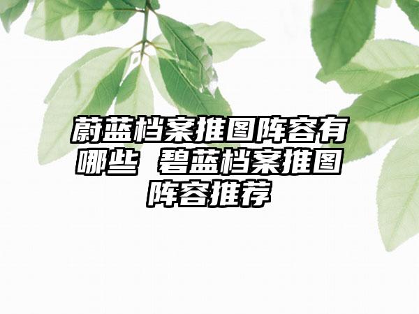 蔚蓝档案推图阵容有哪些 碧蓝档案推图阵容推荐