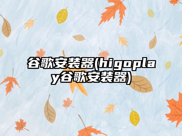 谷歌安装器(higoplay谷歌安装器)