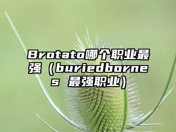Brotato哪个职业最强（buriedbornes 最强职业）