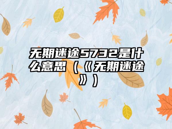 无期迷途5732是什么意思（《无期迷途》）