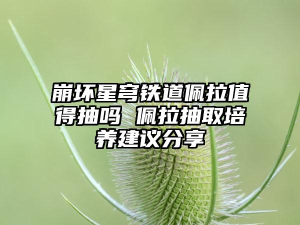 崩坏星穹铁道佩拉值得抽吗 佩拉抽取培养建议分享