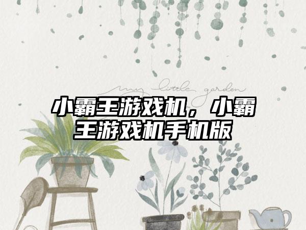 小霸王游戏机,小霸王游戏机手机版