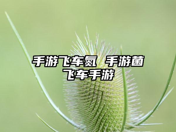 手游飞车氮 手游菌飞车手游
