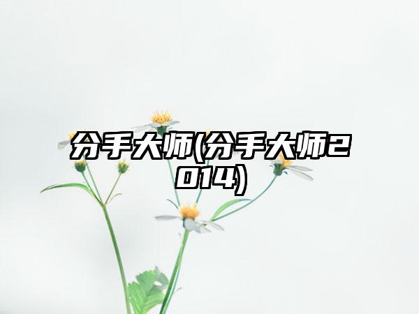 分手大师(分手大师2014)