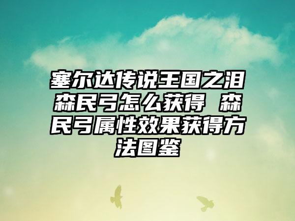 塞尔达传说王国之泪森民弓怎么获得 森民弓属性效果获得方法图鉴