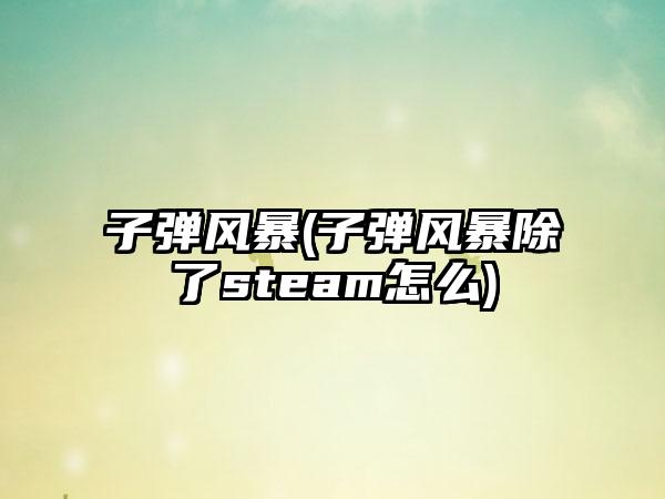 子弹风暴(子弹风暴除了steam怎么)