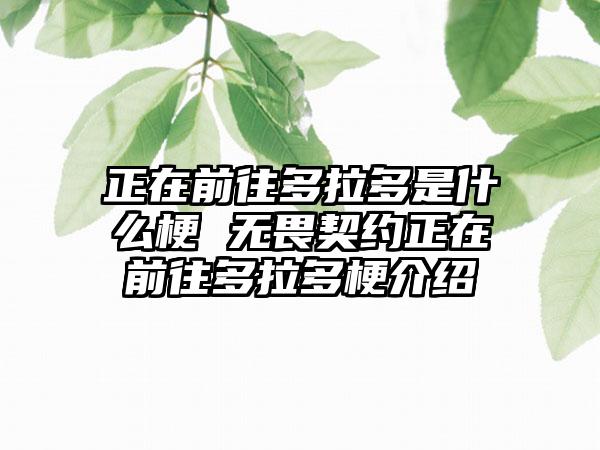 正在前往多拉多是什么梗 无畏契约正在前往多拉多梗介绍