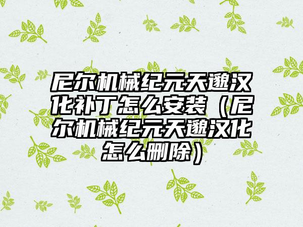 尼尔机械纪元天邈汉化补丁怎么安装（尼尔机械纪元天邈汉化怎么删除）