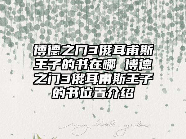 博德之门3俄耳甫斯王子的书在哪 博德之门3俄耳甫斯王子的书位置介绍