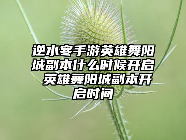 逆水寒手游英雄舞阳城副本什么时候开启 英雄舞阳城副本开启时间