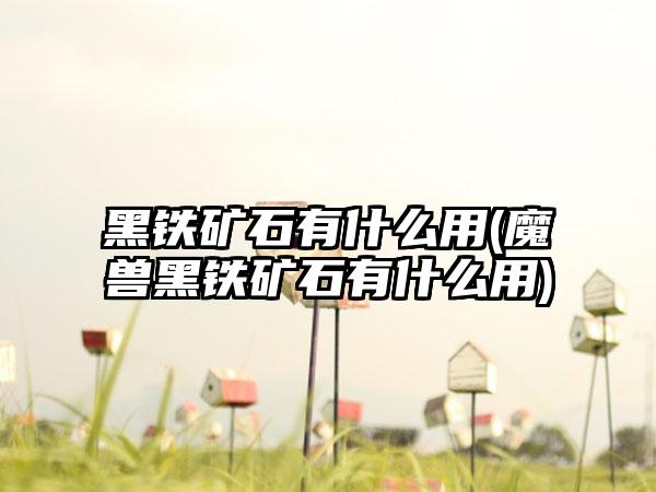 黑铁矿石有什么用(魔兽黑铁矿石有什么用)
