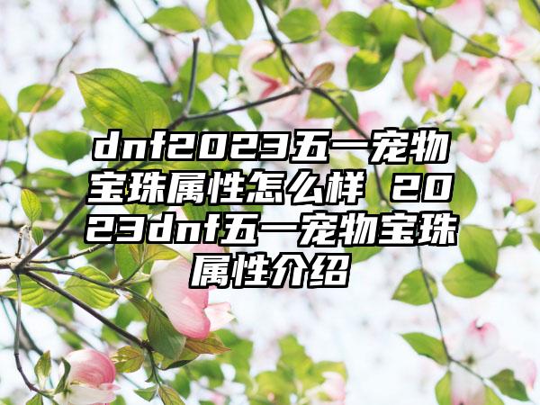 dnf2023五一宠物宝珠属性怎么样 2023dnf五一宠物宝珠属性介绍