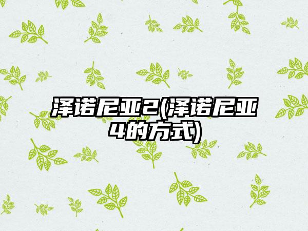 泽诺尼亚2(泽诺尼亚4的方式)