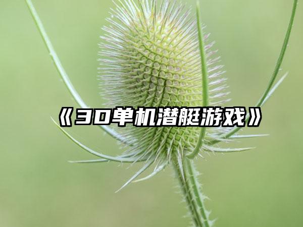 《3D单机潜艇游戏》