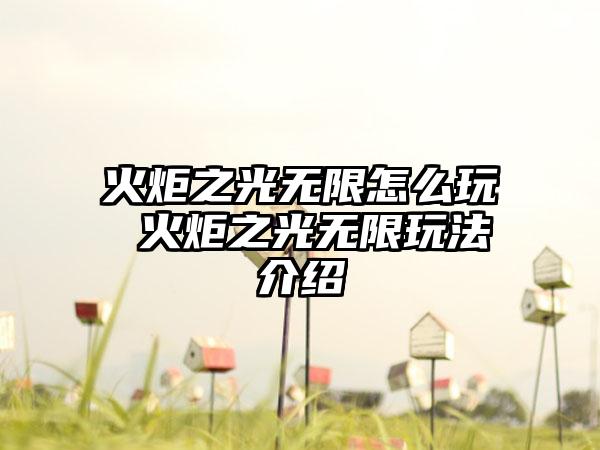 火炬之光无限怎么玩 火炬之光无限玩法介绍