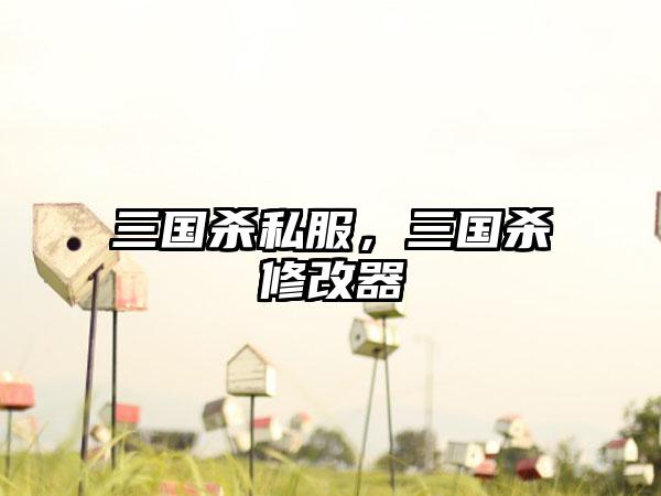 三国杀私服，三国杀修改器