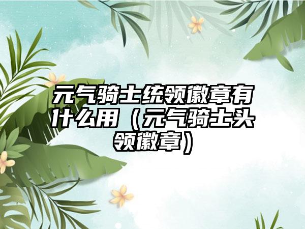 元气骑士统领徽章有什么用（元气骑士头领徽章）