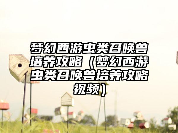 梦幻西游虫类召唤兽培养攻略（梦幻西游虫类召唤兽培养攻略视频）