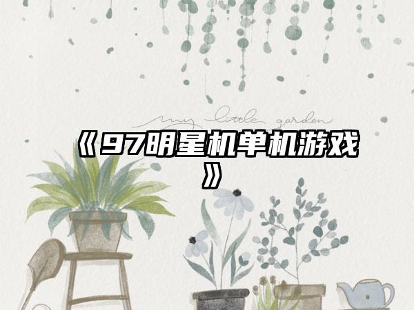 《97明星机单机游戏》