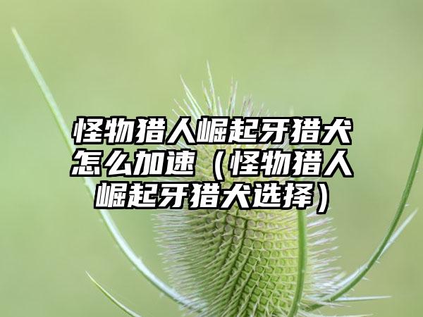 怪物猎人崛起牙猎犬怎么加速（怪物猎人崛起牙猎犬选择）