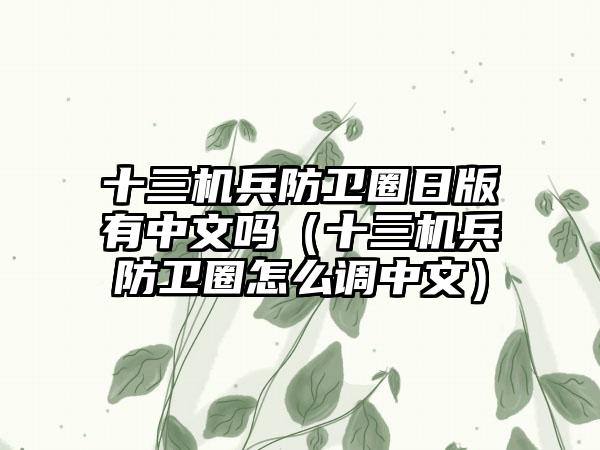 十三机兵防卫圈日版有中文吗（十三机兵防卫圈怎么调中文）