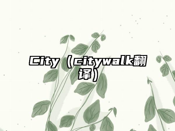 City（citywalk翻译）