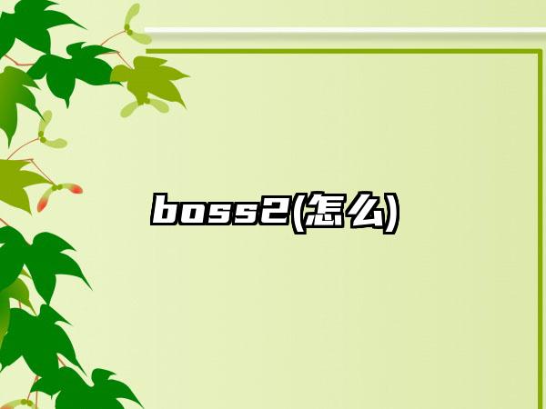 boss2(怎么)