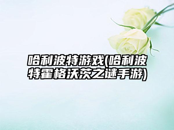 哈利波特游戏(哈利波特霍格沃茨之谜手游)