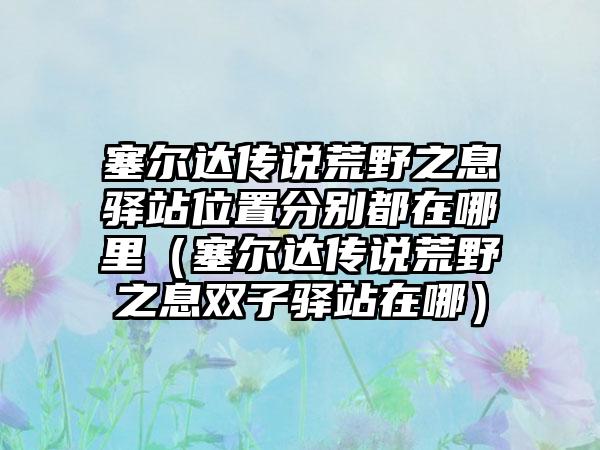 塞尔达传说荒野之息驿站位置分别都在哪里（塞尔达传说荒野之息双子驿站在哪）