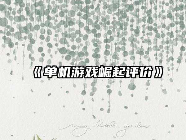 《单机游戏崛起评价》