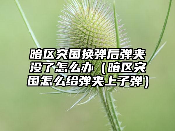 暗区突围换弹后弹夹没了怎么办（暗区突围怎么给弹夹上子弹）