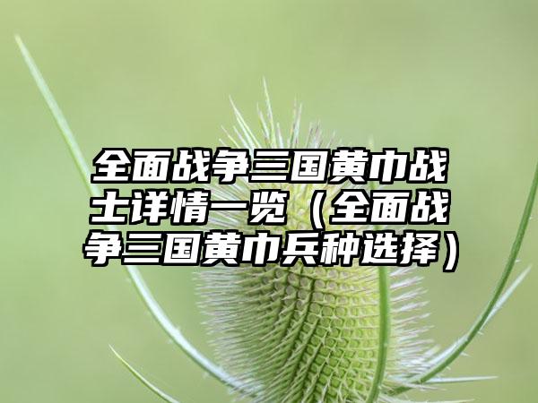 全面战争三国黄巾战士详情一览（全面战争三国黄巾兵种选择）