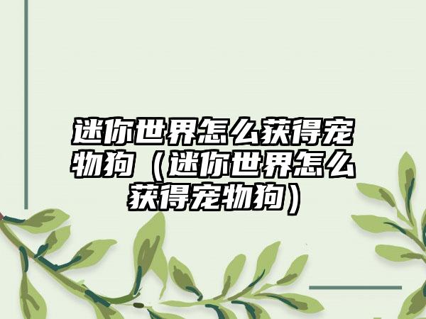 迷你世界怎么获得宠物狗（迷你世界怎么获得宠物狗）