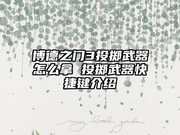 博德之门3投掷武器怎么拿 投掷武器快捷键介绍