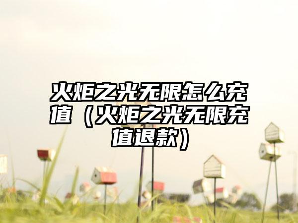 火炬之光无限怎么充值（火炬之光无限充值退款）