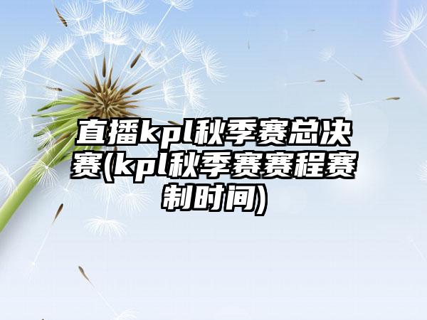 直播kpl秋季赛总决赛(kpl秋季赛赛程赛制时间)