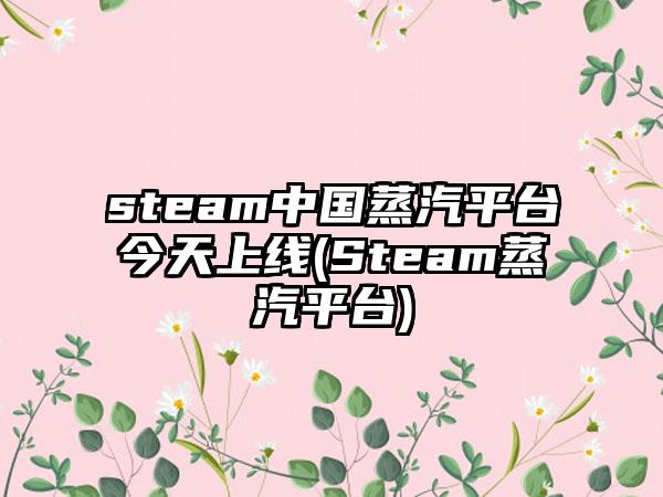 steam中国蒸汽平台今天上线(Steam蒸汽平台)