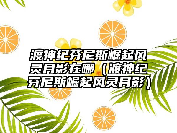 渡神纪芬尼斯崛起风灵月影在哪（渡神纪芬尼斯崛起风灵月影）