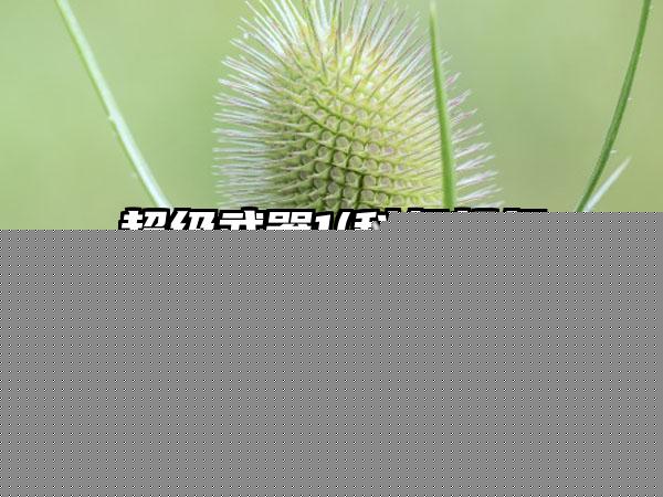 极限突破(突破极限普通话)