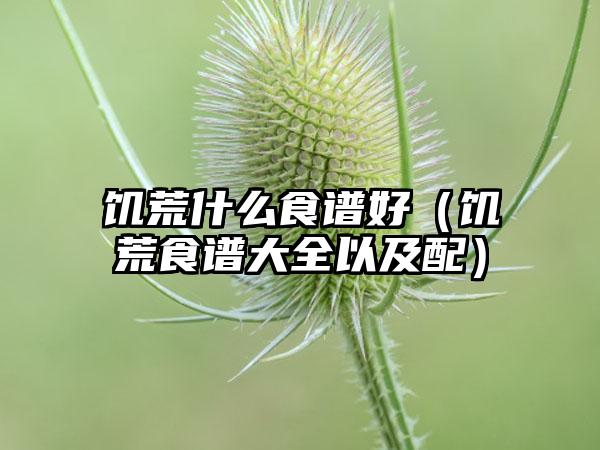 饥荒什么食谱好（饥荒食谱大全以及配）